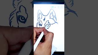 comment dessiner un loup facilement [upl. by Lali]