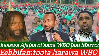 08082024 hasawa Ajajaa olaana WBO Jaal Marroo Eebbifamtoota harawa qalainsa jireenya ummata [upl. by Alieka758]