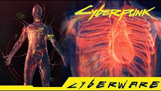 Cyberpunk 2077  Where can you get Biodyne Berserk MK3 Epic Cyberware [upl. by Rosita608]