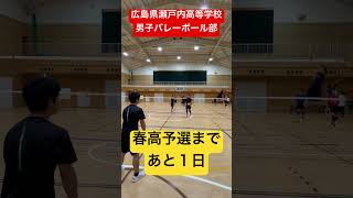 春高予選まであと１日 shorts 瀬戸内高校男子バレーボール部 春高バレー [upl. by Silverstein]