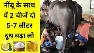 नींबू के साथ ये दे दो 57 लीटर दूध बढ़ा लो  How to increase milk  Shishpal Malik milk dudh [upl. by Jacynth]