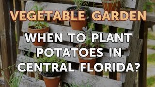 When to Plant Potatoes in Central Florida [upl. by Rani370]