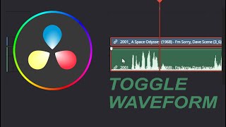 Davinci Resolve 18 Waveform Is Not Showing Up On Audio Track Quick Fix [upl. by Aggappora]