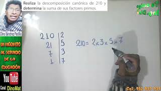 DIVISORES Y NUMEROS COMPUESTOS 10 [upl. by Shannan]