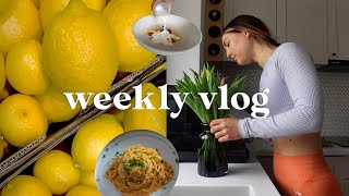 Weekly Vlog 🌸  dużo gotowania🍲 nowe studio tour  foodhaul [upl. by Nemraciram144]