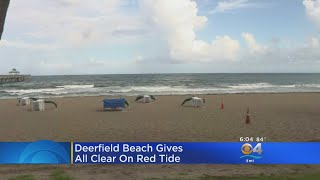 Deerfield Beach Red Tide Free [upl. by Nats]