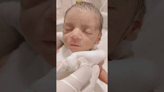 Hungry birds wants feed viralvideo littleprince newbornbaby mylittleprince [upl. by Aldrich]