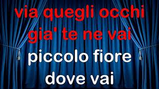 I Teppisti dei Sogni  Piccolo Fiore CORI KARAOKE MM fair use [upl. by Aihsatsan]