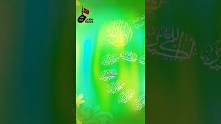 Shahdaat E Bibi Fatema Zehra SA  Akeli Hai Zehra  Noha  shiastatus zehra fatima shorts [upl. by Dlareg76]