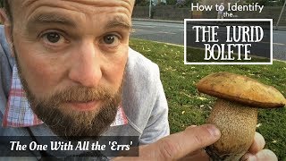 How to Identify the Lurid Bolete A Beginners Guide [upl. by Sal]