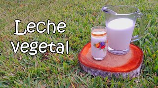 Leche vegetal por Nely Helena Acosta Carrillo [upl. by Ana]