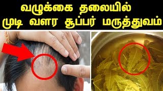 வழுக்கை தலையில் முடி வளர சூப்பர் மருத்துவம்  valukkai thalai mudi valara Tips in Tamil [upl. by Dronel]