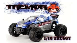 TREMOR SG 116 scale RC Truggy [upl. by Yuu]