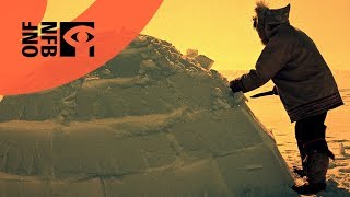 How to Build an Igloo [upl. by Ahsikit]