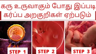 early pregnancy symptoms in tamil by doctorகரு உருவாதல் அறிகுறிimplantation symptoms in tamil [upl. by Kubis800]