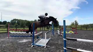 💜Sambuca💜 Jumping Video [upl. by Placeeda]