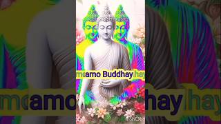 Buddh Vandna बुद्ध वंदना buddhvandana shorts tranding viralshorts youtube motivation rajna [upl. by Naginarb94]