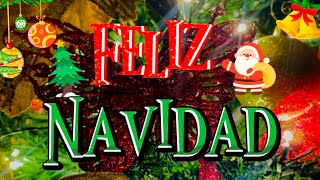 Feliz navidad para ti Abre este hermoso mensaje Frases bonitas de navidad [upl. by Dysart254]