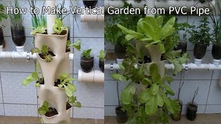 How to Make Vertical Garden from PVC Pipe [upl. by Hollinger]