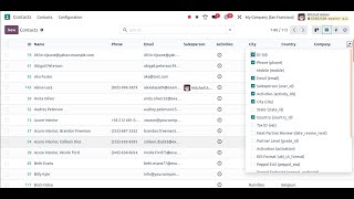 ID Field in All List Views in Debug Mode in Odoo 18  Odoo 18 Features [upl. by Constancia778]