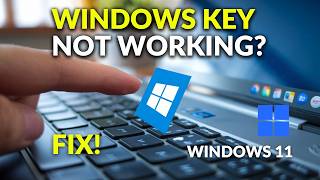 How To Fix Windows Key Not Working in Windows 11  Fix Windows Button Not Working [upl. by Diena104]