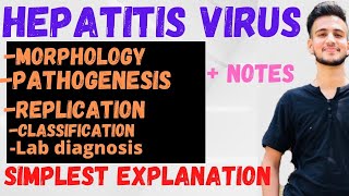 Hepatitis virus microbiology  hepatits virus ABCDE  Hepatitis B virus [upl. by Nelrac486]