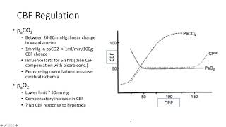 Principles of Neurophysiology  Dr Rebel [upl. by Shelby]