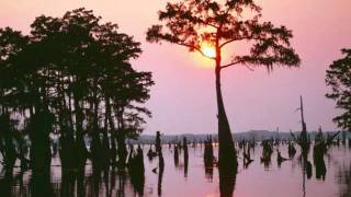 The Byrds  Lover of the Bayou [upl. by Baynebridge100]