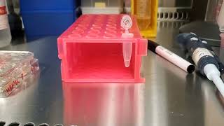 Testing the Neon Transfection System with 100uL tips [upl. by Okramed]