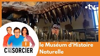 Les coulisses du Muséum dHistoire Naturelle  Cest pas sorcier Intégrale [upl. by Waechter]