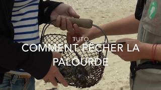 Comment pêcher la palourde [upl. by Nerred]