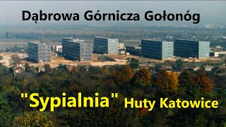 Dąbrowa Górnicza Gołonóg historia budowy osiedla Huty Katowice [upl. by Sheedy]