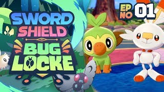 IT IS FINALLY HERE Pokemon Sword and Shield BugLocke  Episode 1 [upl. by Aleen]