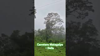 Carretera Matagalpa  Dalia  music song fantasy [upl. by Nylrats]