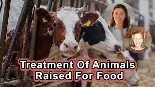 Treatment Of Animals Raised For Food  Hope Bohanec Brittany Michelson [upl. by Gerda]