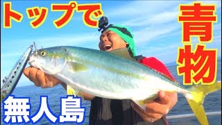 無人島でサバイバルのつもりが高級食材の宝庫だった【釣り編】 3 [upl. by Libenson298]