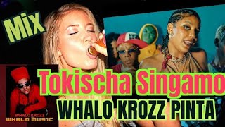 Tokischa Singamo Mix Whalo Krozz Pinta [upl. by Eta]