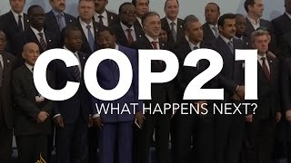 COP21 Agreement Explained [upl. by Luigi]