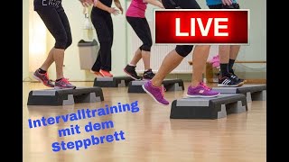 Intervalltraining mit dem Steppbrett und Susi Live [upl. by Tlihcox]