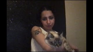 Lana Del Rey  Yayo Cover featuring my cat [upl. by Currie839]