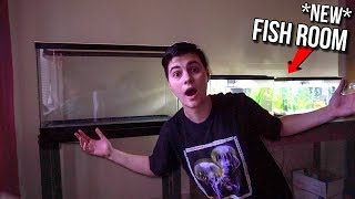 MY NEW FISH TANK ROOM SETUP [upl. by Dustman729]