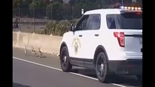 Grupo de gansos toma la autopista en EU [upl. by Mathilda977]