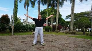 Taiji Qigong Shibashi  Set 2 [upl. by Rahr]