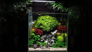 Planted Nano Aquarium with Guppy Fish [upl. by Llerut]