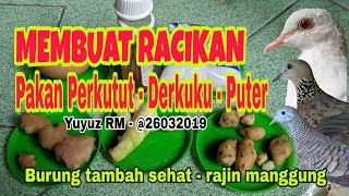 MEMBUAT RACIKAN SENDIRI PAKAN DERKUKU PUTER PERKUTUT [upl. by Jade]