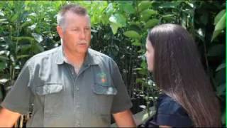 CFAN AGTV Exclusive Interview Phillip Rucks of Phillip Rucks Citrus Nursery in Frostproof FL [upl. by Sherill978]