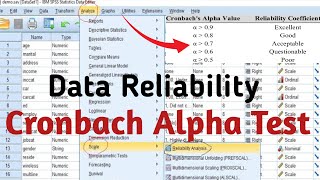 የዳታየመጠይቅ ትክክለኛነት Data Reliability Test መለኪያ፡ Cronbach Alpha Test [upl. by Anidan]