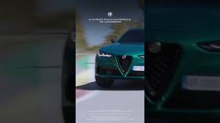 Alfa Romeo Stelvio Quadrifoglio  Driving Dynamics​ [upl. by Thomasina]