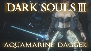 Aquamarine Dagger Moveset Dark Souls 3 [upl. by Ellehcram]