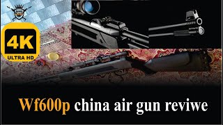 WF600p under liver air gun  China B3 air rifle review [upl. by Ondrea]